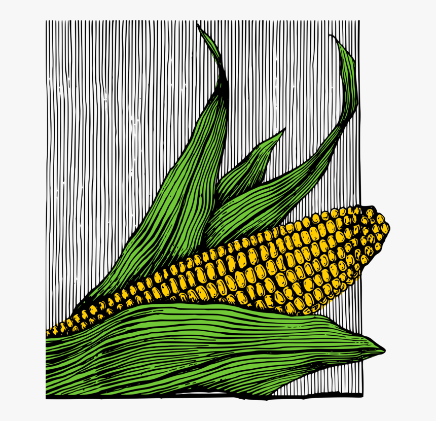 Plant,leaf,commodity - Maize, HD Png Download, Free Download