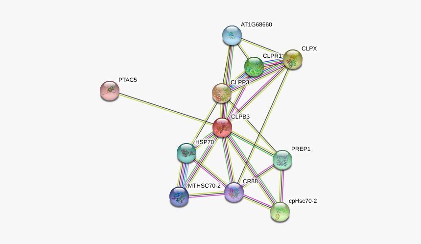 Clpb3 Protein - Circle, HD Png Download, Free Download