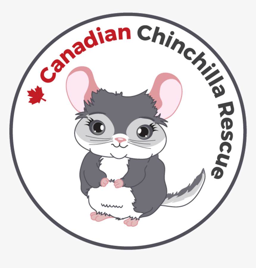 Canadian Chinchilla, HD Png Download, Free Download