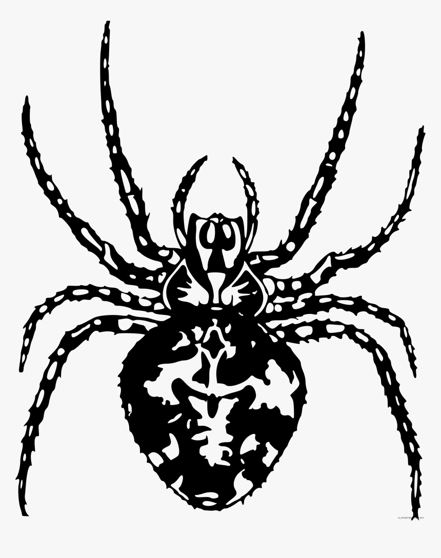 Spider Clipart Black And White Free - Araignée Dessin, HD Png Download, Free Download