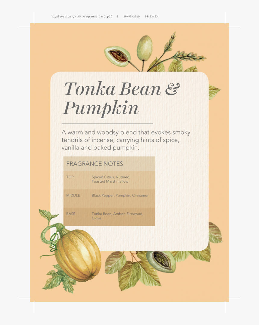 Gourd, HD Png Download, Free Download