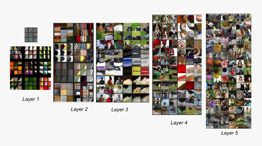 Visualizing And Understanding Convolutional Networks, - Cnn Visualize Hidden Layer, HD Png Download, Free Download