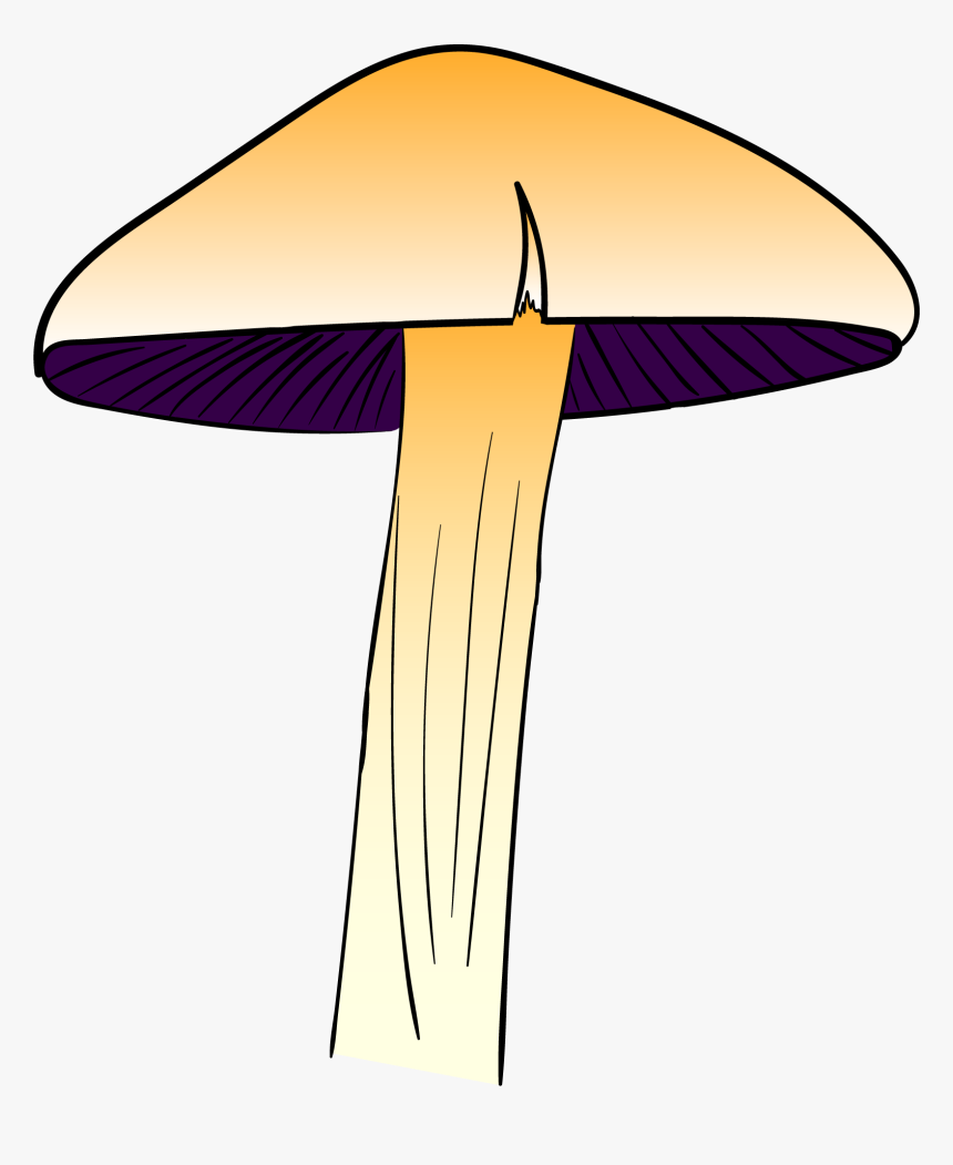 Agaricus, HD Png Download, Free Download