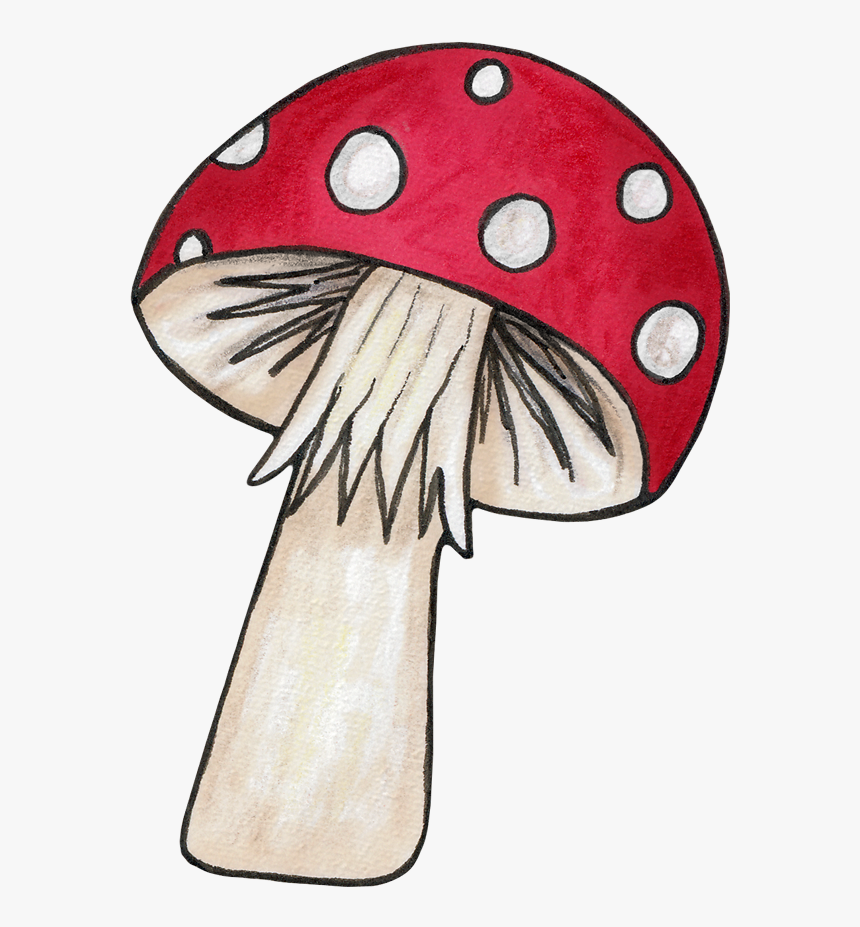 For An Echanted Woodlands - Flower And Mushroom Clipart, HD Png Download, Free Download