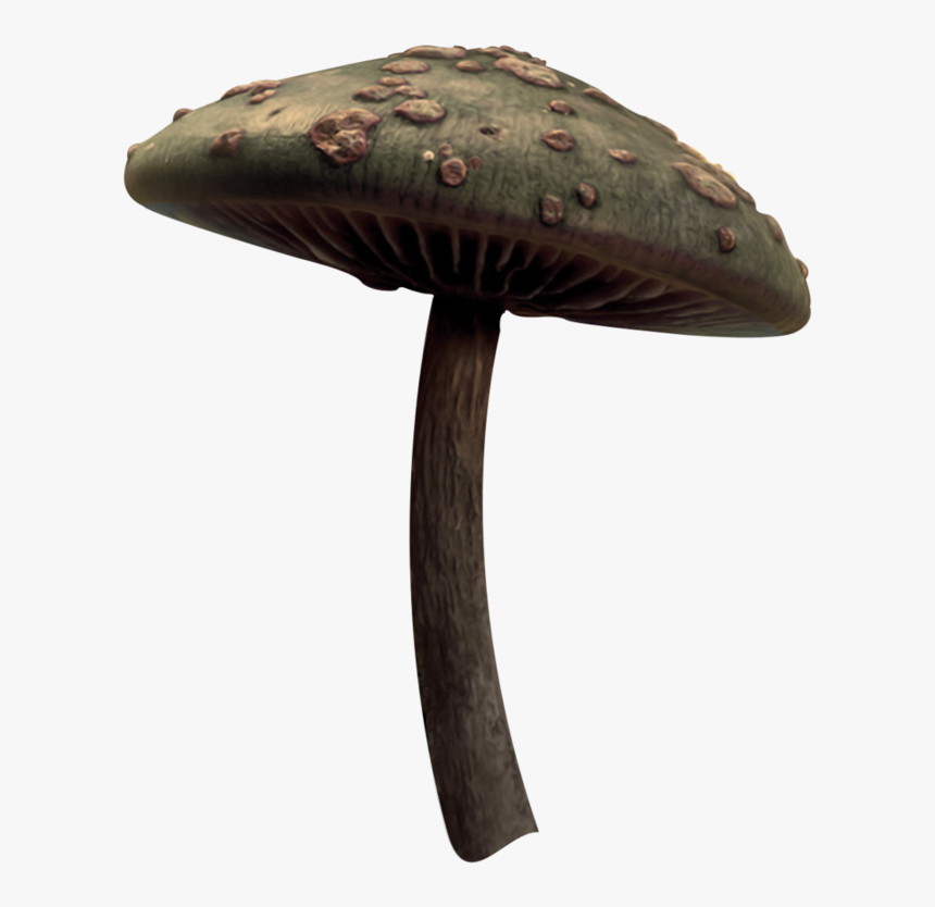 Alice In Wonderland Mushroom Png, Transparent Png, Free Download