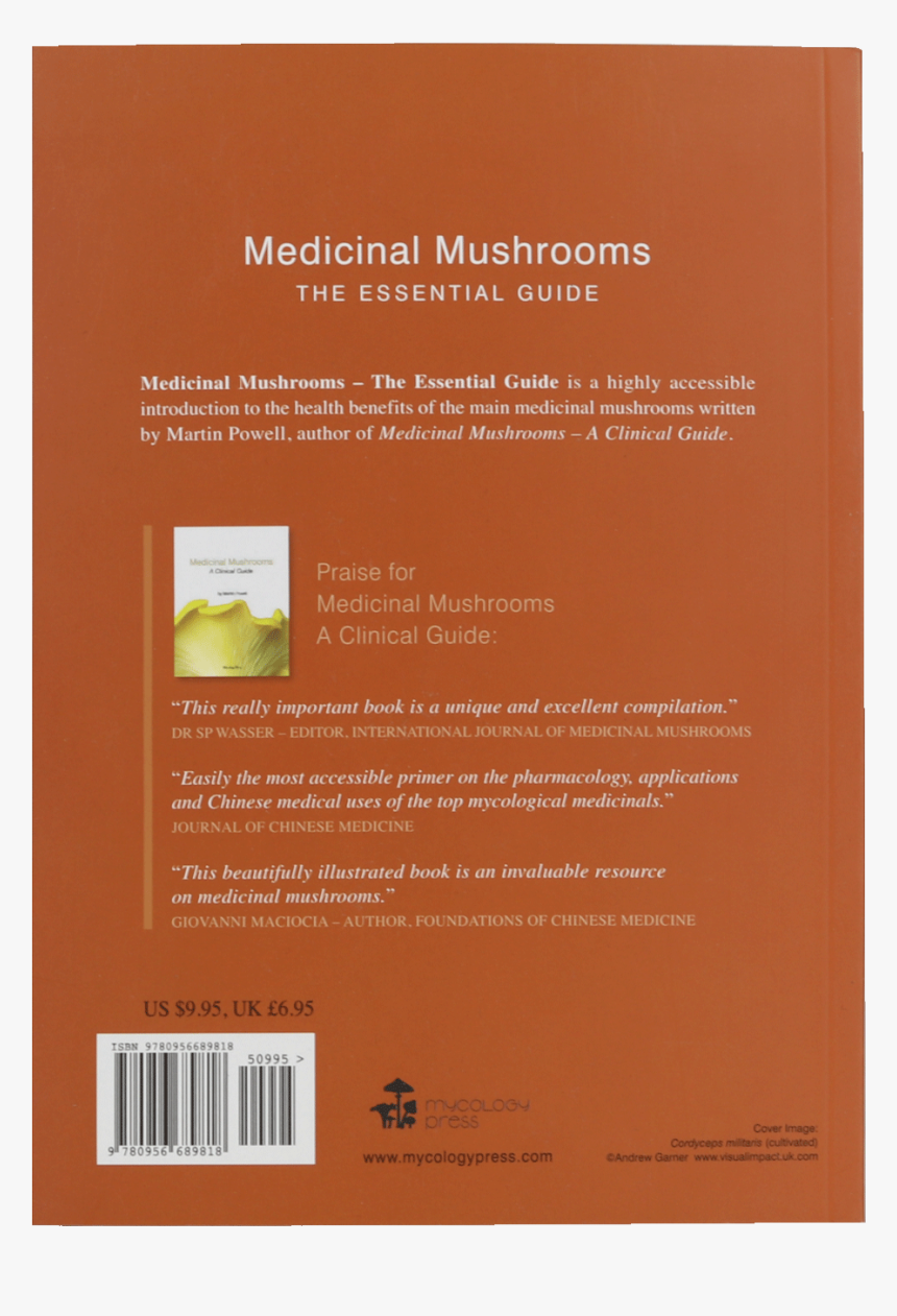 Medicinal Mushrooms - Brochure, HD Png Download, Free Download