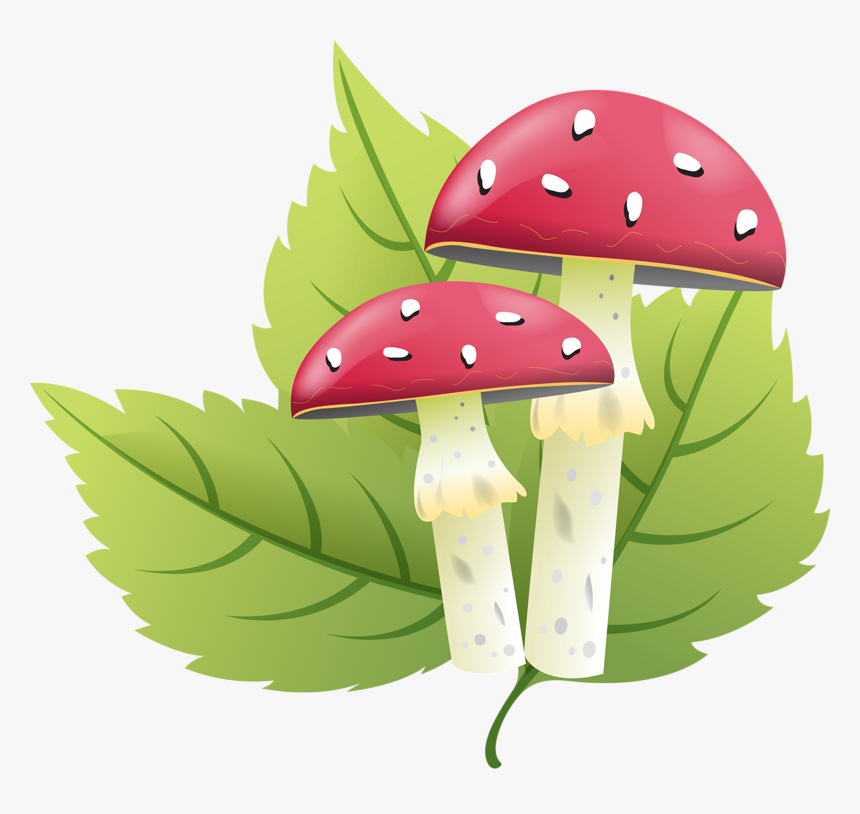 Shrooms Pinterest Mushrooms - Слова На Буква Г, HD Png Download, Free Download