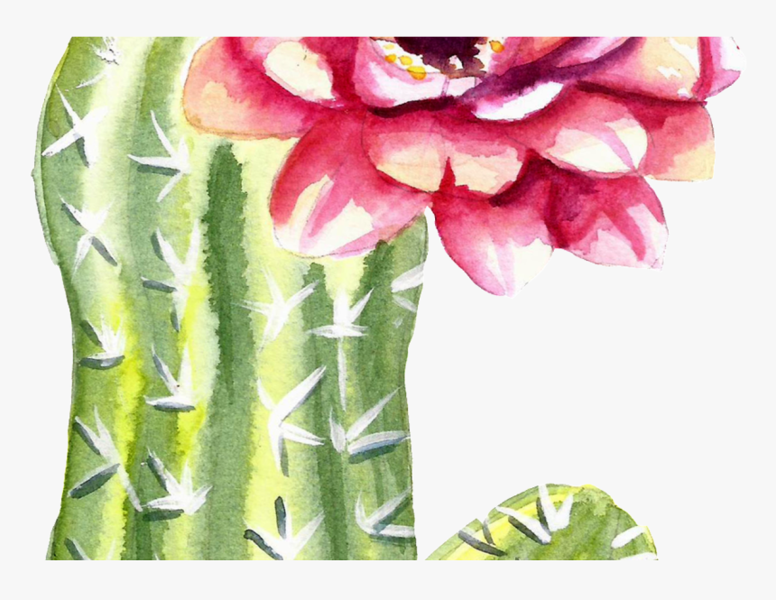 Green Watercolor Hand Painted Cactus Flower Transparent - Cactus Flower Png, Png Download, Free Download