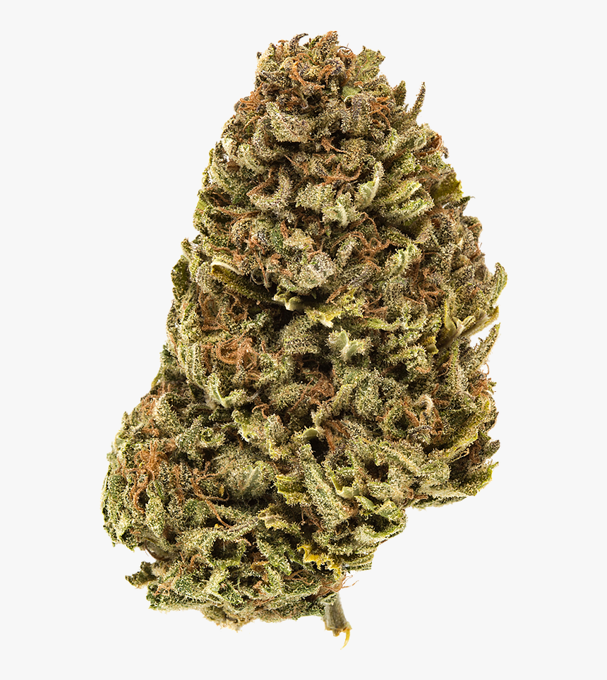 Granddaddy Purp, HD Png Download, Free Download