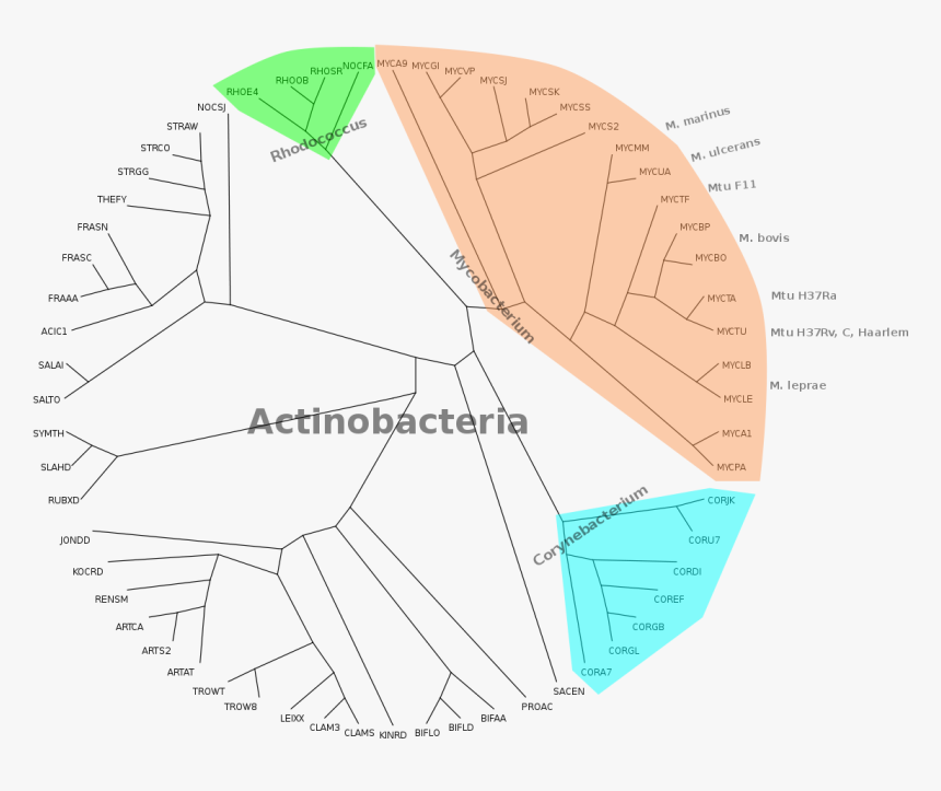 Diagram, HD Png Download, Free Download