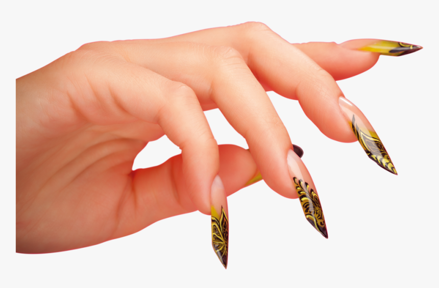 Formação De Unhas De Fibra De Vidro - Nail Polish, HD Png Download, Free Download