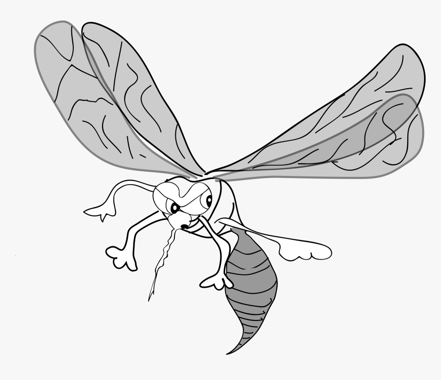 Freehand Mosquito - Mosquito Clip Art, HD Png Download, Free Download