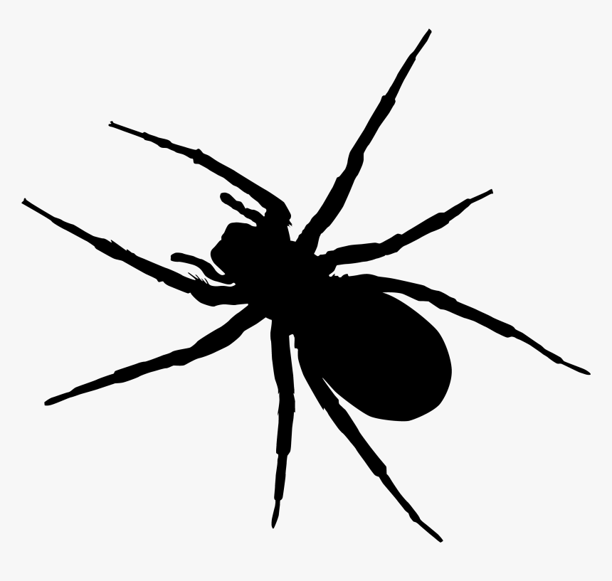 Transparent Background Spider Vector Png, Png Download, Free Download