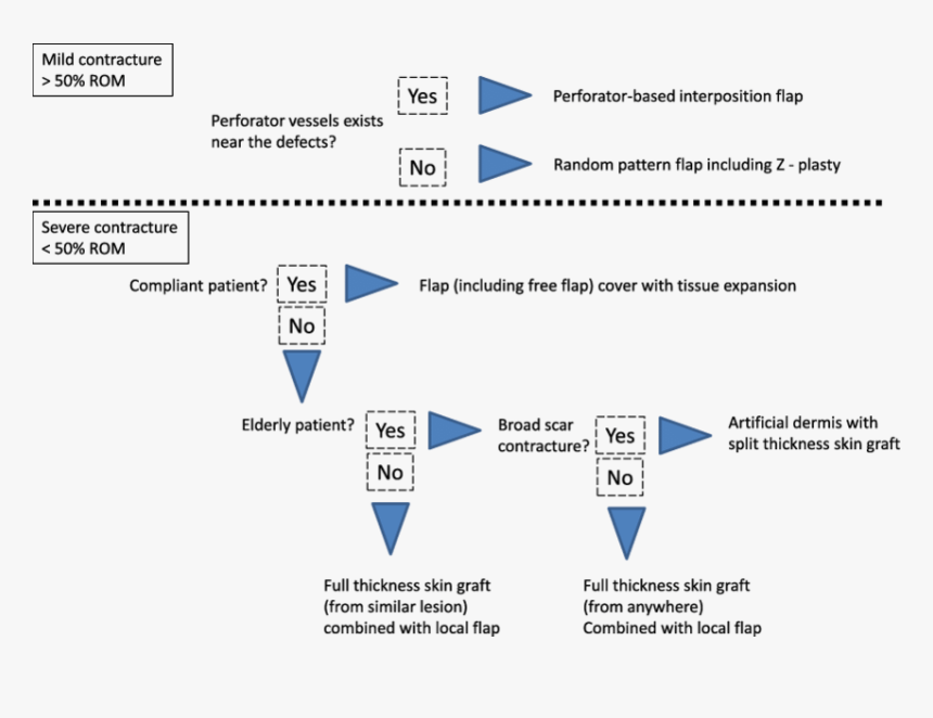 Electric Burn Algorithm, HD Png Download, Free Download