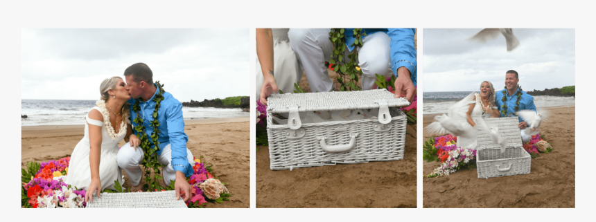 Our Doves Are Hand Raised Homing Birds, Upon Release - Flower Girl Basket, HD Png Download, Free Download