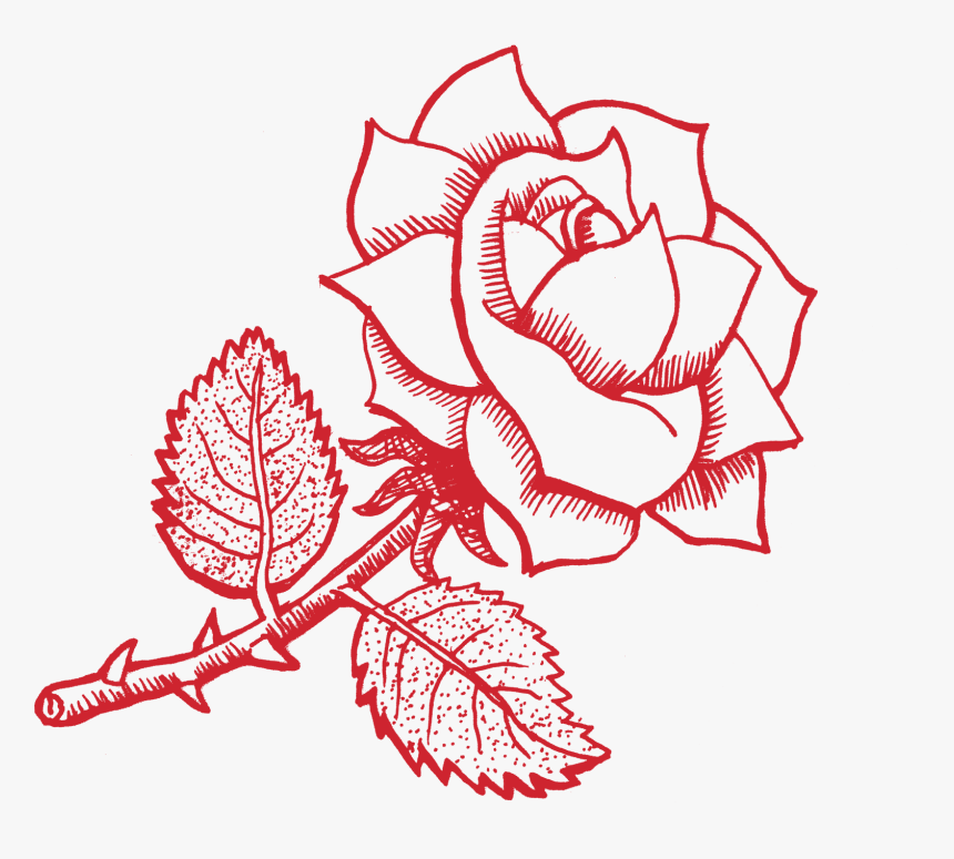 Hybrid Tea Rose, HD Png Download, Free Download