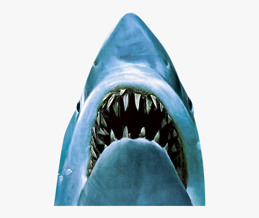 Jaws Movie Poster Fanart Tv, HD Png Download, Free Download
