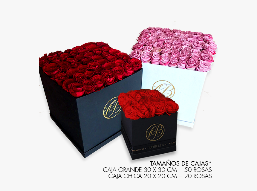 Caja Cuadrada De Rosas Lila - Rose, HD Png Download, Free Download