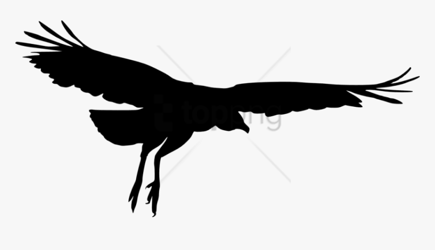 Transparent Eagle Wings Clipart - Siluetas De Aves Png, Png Download, Free Download