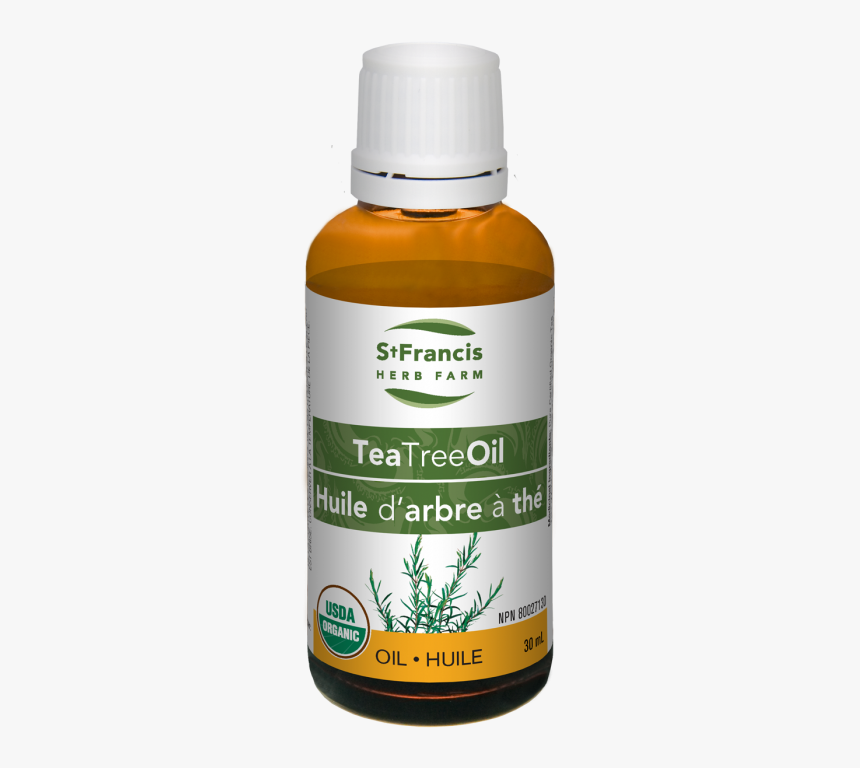 Tea Tree Oil, HD Png Download, Free Download