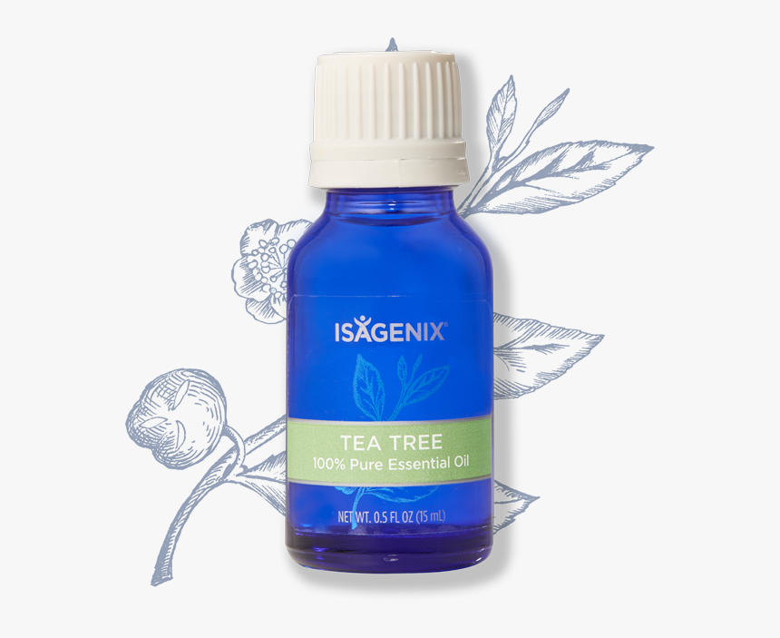 Tea Tree Oil, HD Png Download, Free Download