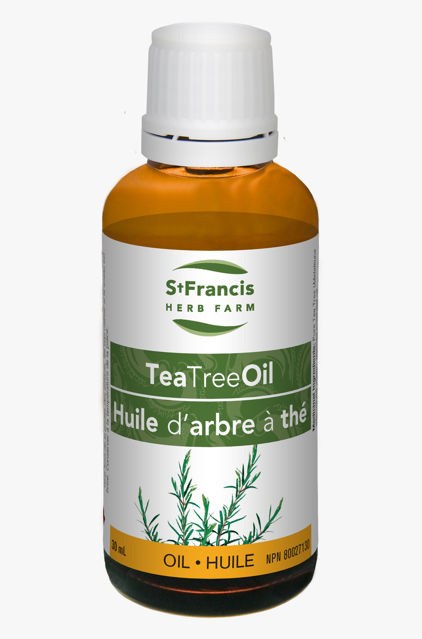 Tea Tree Oil, HD Png Download, Free Download