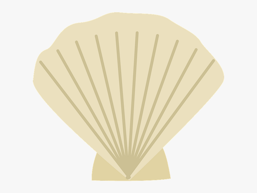 Bivalve, HD Png Download, Free Download