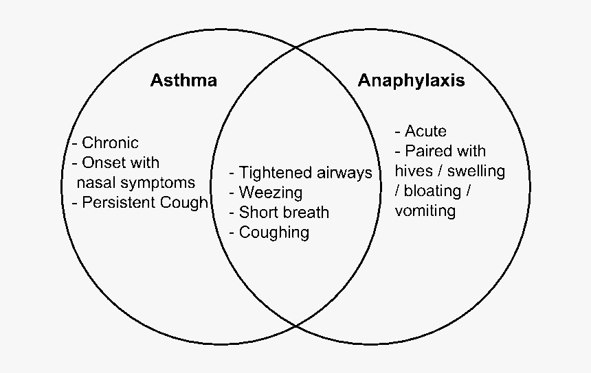 Asthma Vs Anaphylaxis Www - Circle, HD Png Download, Free Download