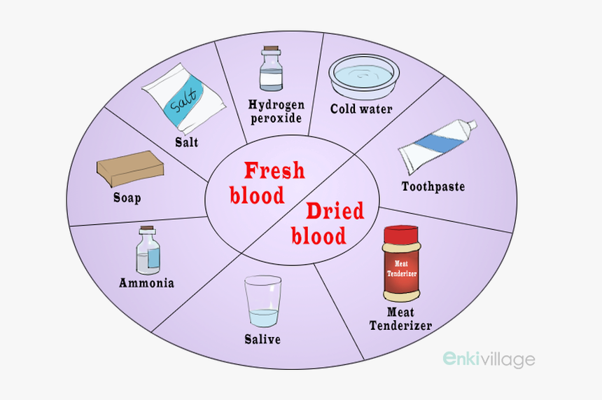 How To Get Blood Out Of Clothes Always Go With Cold - Cleaning, HD Png Download, Free Download