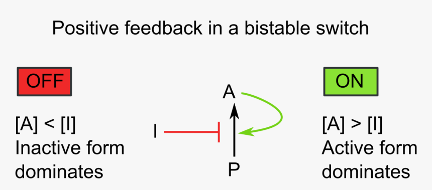 Diagram, HD Png Download, Free Download