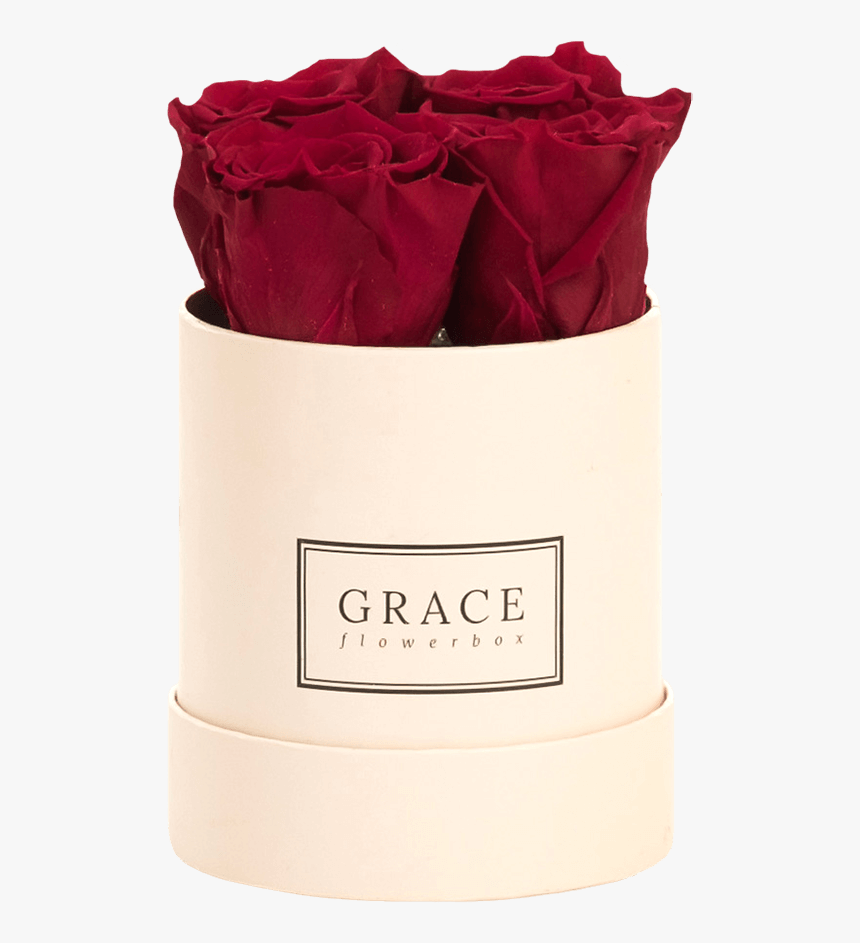 Grace Flowerbox , Png Download - Garden Roses, Transparent Png, Free Download