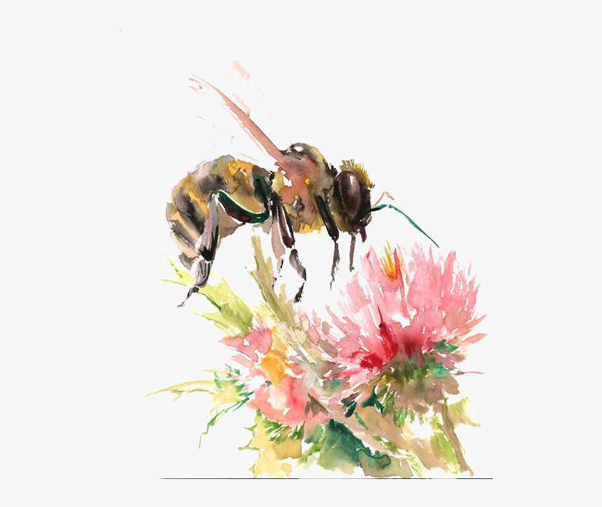 Bees Transparent Watercolor - Flower And Bees Drawing, HD Png Download, Free Download