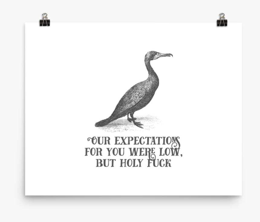 Our Expectations For You Were Low, But Holy Fuck Poster"
 - Poster, HD Png Download, Free Download