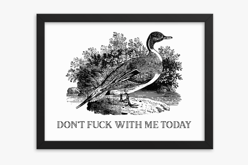 Don"t Fuck With Me Framed"
 Srcset="data - Fuck, HD Png Download, Free Download