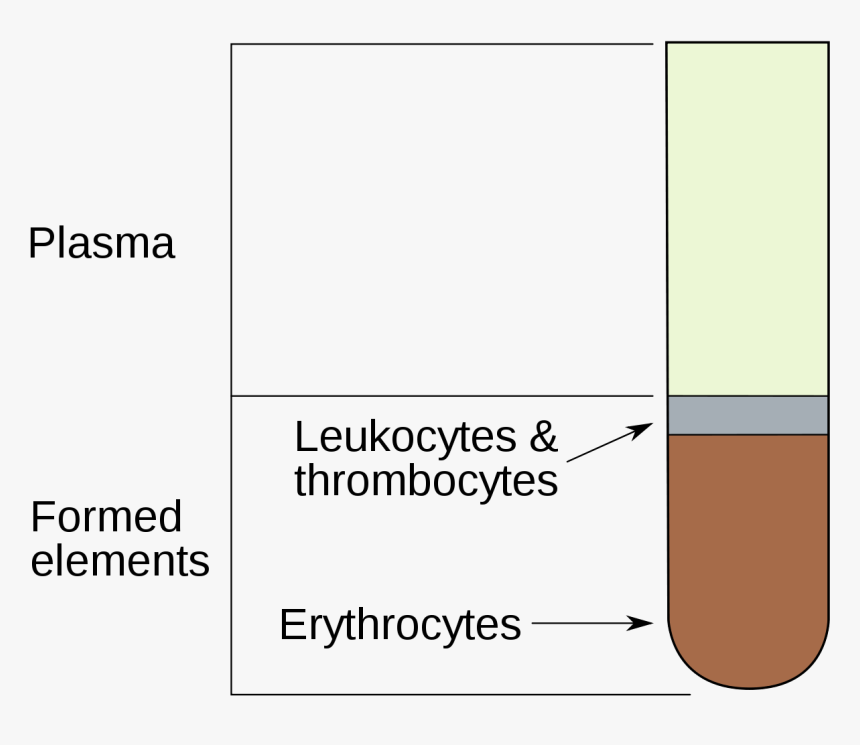 Hematocrit Meaning In Urdu, HD Png Download, Free Download