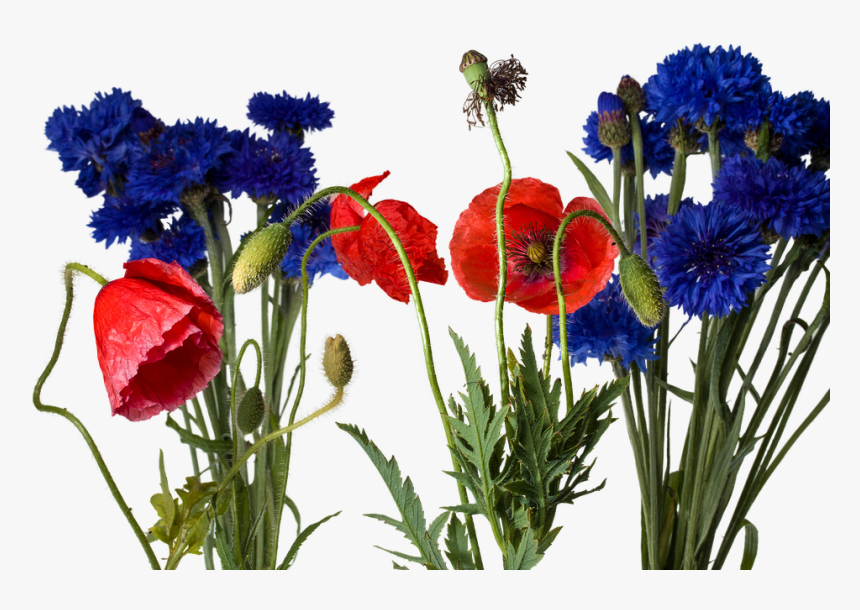 Bouquet, HD Png Download, Free Download