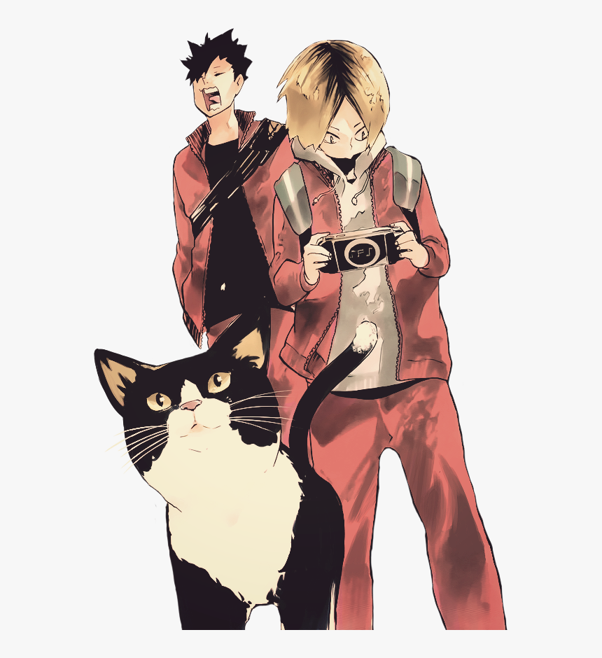 Haikyuu Cat , Png Download - Kuroo Tetsurou, Transparent Png, Free Download