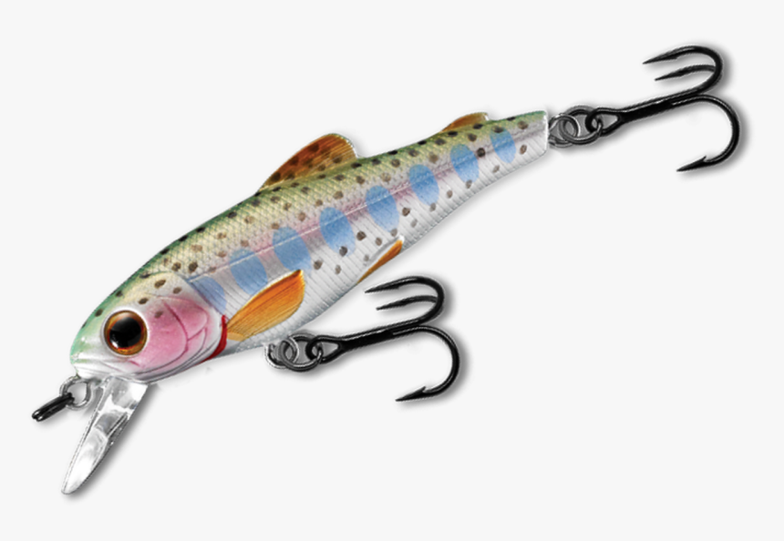 Rainbow Trout - Fishing Rod, HD Png Download, Free Download