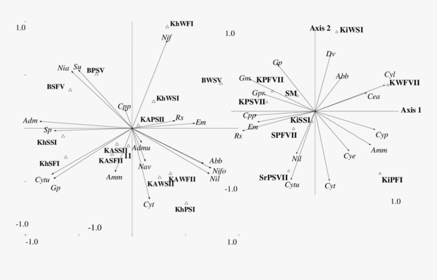 Diagram, HD Png Download, Free Download