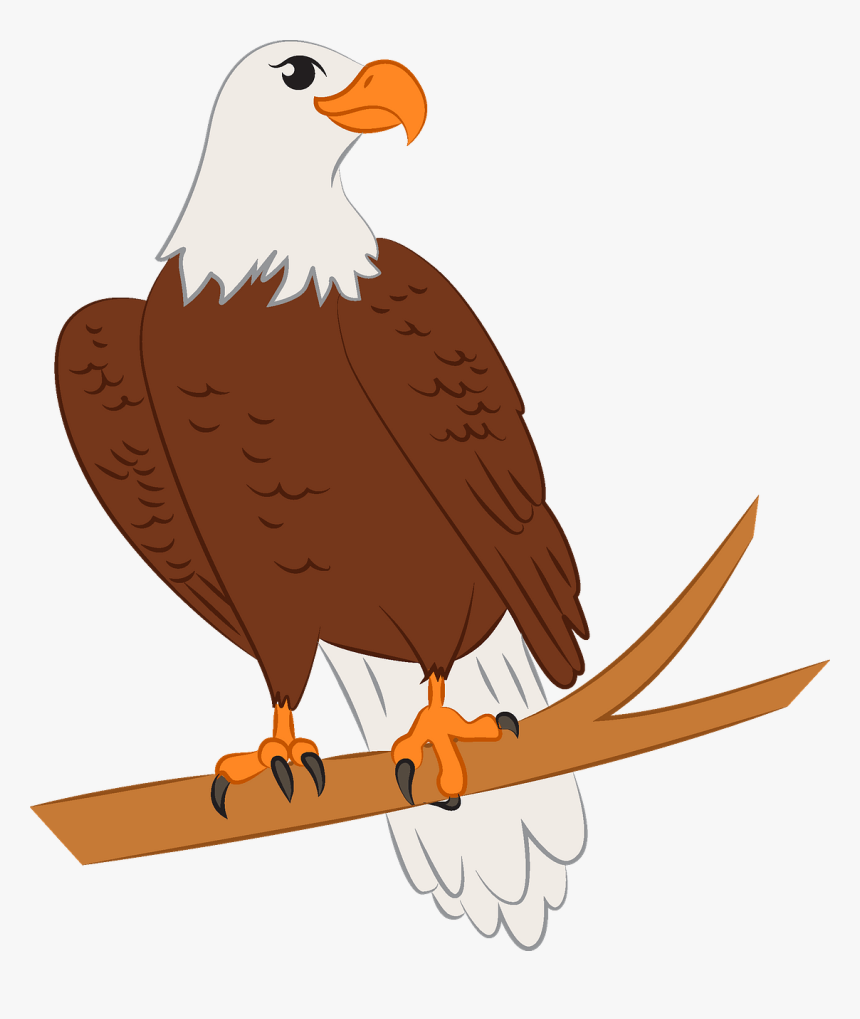 Bald Eagle, HD Png Download, Free Download