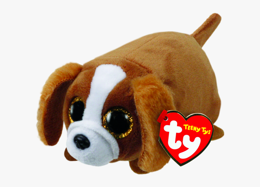 Suzie The Brown And White Dog "
 Title="suzie The Brown - Teeny Ty Suzie, HD Png Download, Free Download