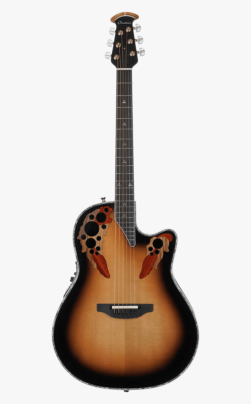 American Lx Custom Elite - Allen Collins Firebird Guitar, HD Png Download, Free Download