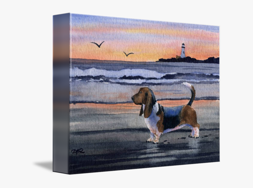 Basset Hound By David Rogers Watercolor Art - Basset Hound, HD Png Download, Free Download