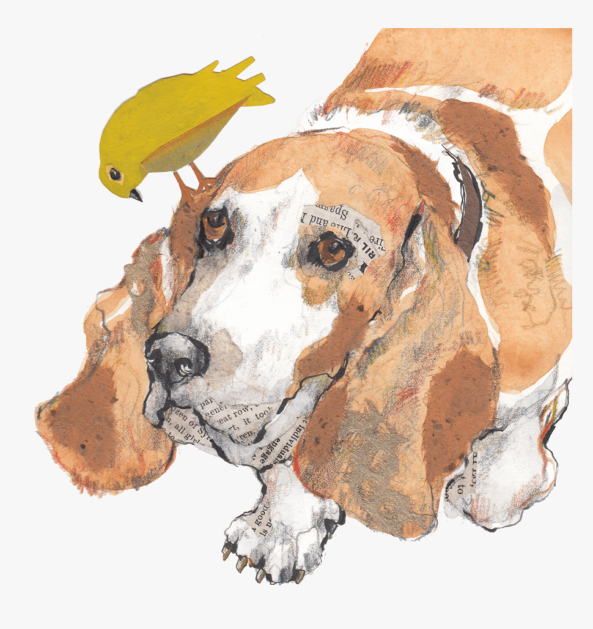 Basset Hound With Bird For Wesite - Basset Hound, HD Png Download, Free Download