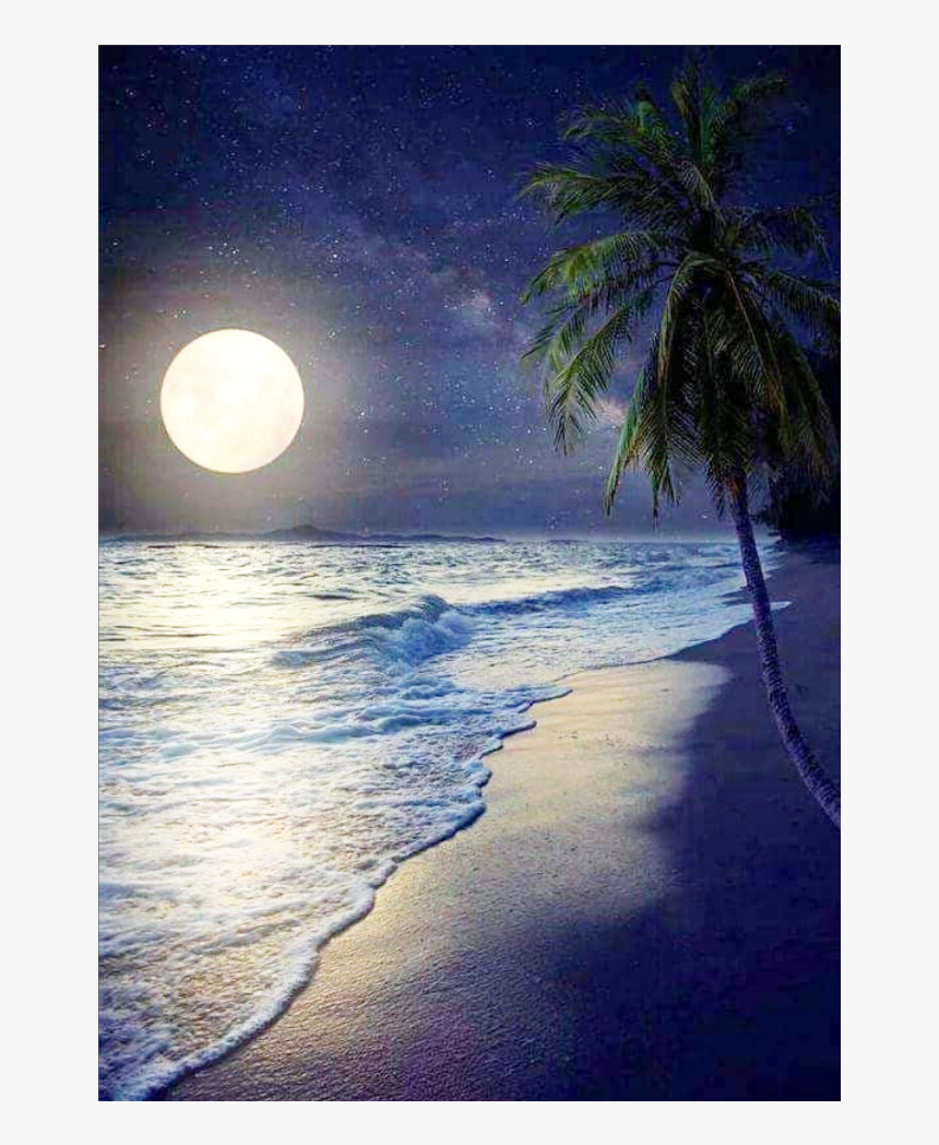 #background #overlay #beach #moon #ocean - Night, HD Png Download, Free Download