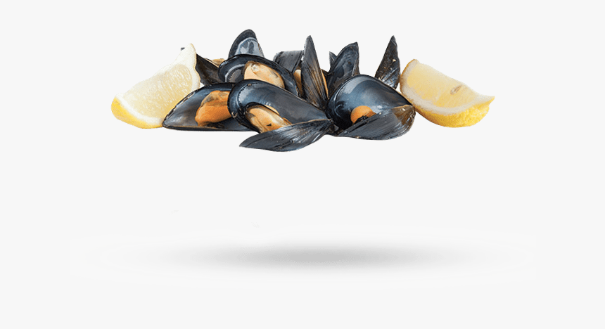 Prince Edward Island Blue Mussels - Mussel, HD Png Download, Free Download