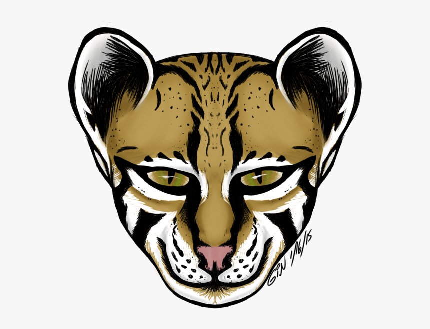 Ocelot Face - Illustration, HD Png Download, Free Download