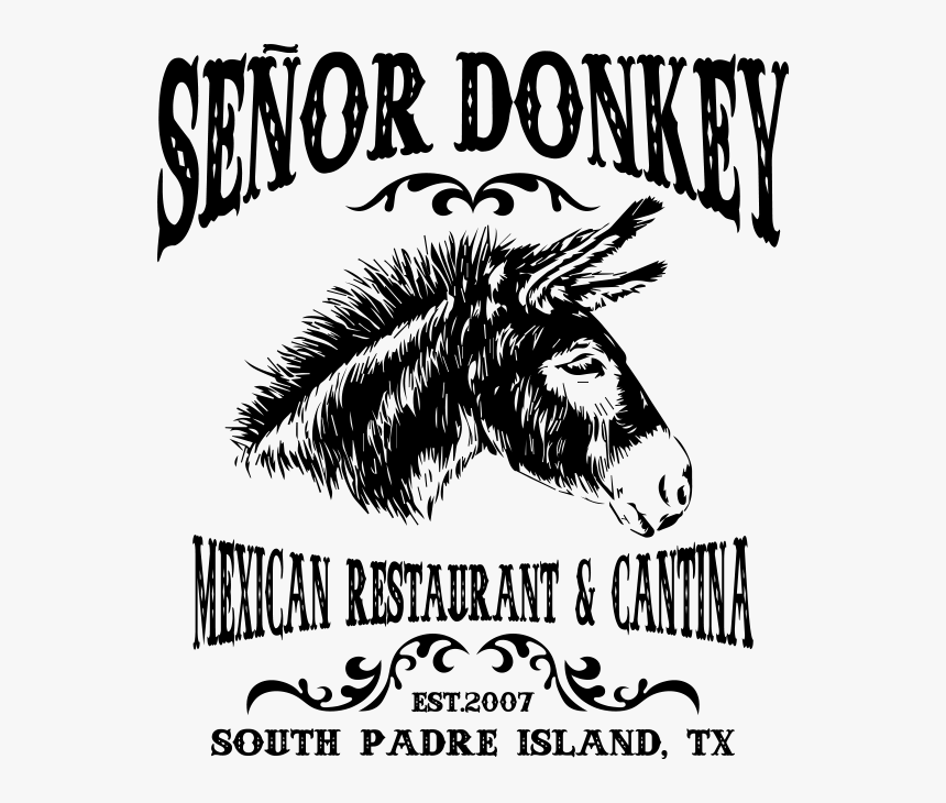 South Padre Island - Senor Donkey South Padre Island, HD Png Download, Free Download