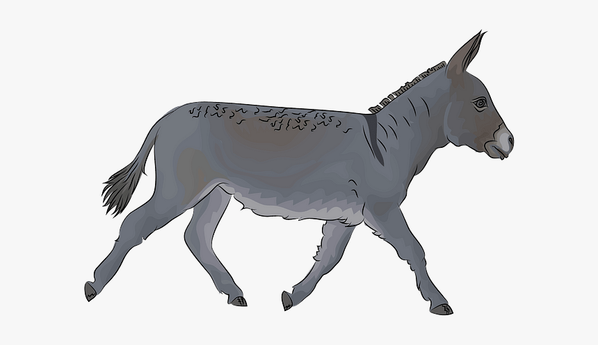 Burro, HD Png Download, Free Download