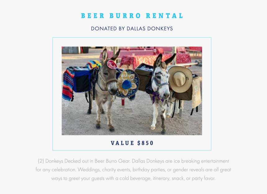 Raffle Item 18 - Burro, HD Png Download, Free Download